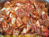 Kimchi with Napa and Daikon（辣白菜）
