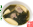香肉海带汤